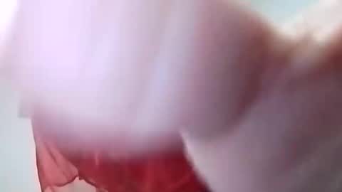 Snapshot of sweetwendi15 chatting on 02.08.25 sweetwendi15 online show from 02.08.25