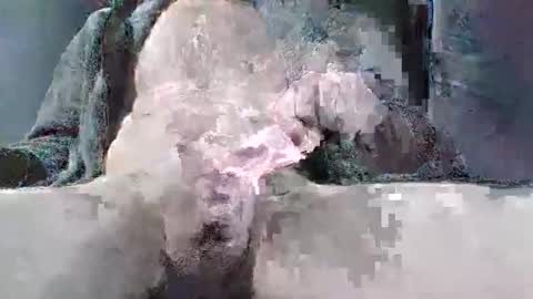 sybomec online show from 03.25.26