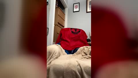 tacca8 online show from 04.01.26