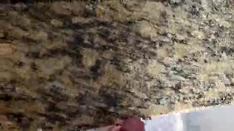 Canon online show from 03.02.26