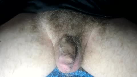 mr taco online show from 02.13.25