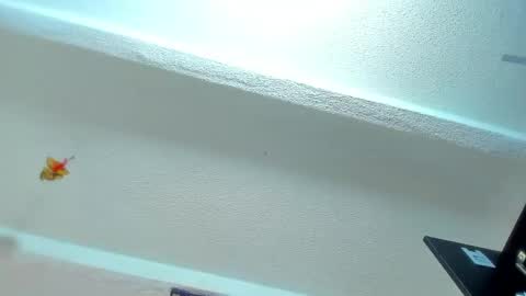 Snapshot of tafari_1 chatting on 04.30.26 Tafari Zulu online show from 04.30.26