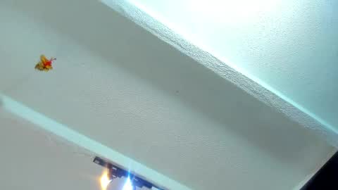 Snapshot of tafari_1 chatting on 05.22.26 Tafari Zulu online show from 05.22.26