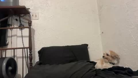 Talen James online show from 09.28.25