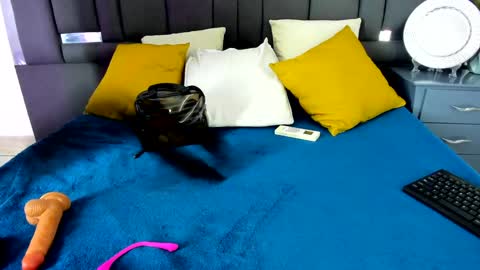 tali  online show from 01.12.25