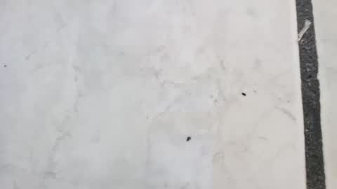 tall6feet7inch online show from 09.14.25