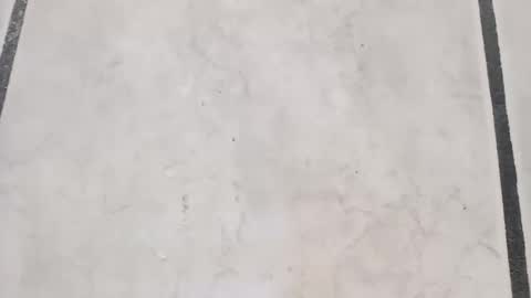 tall6feet7inch online show from 09.21.25