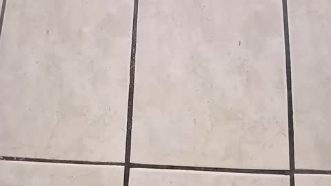 tall6feet7inch online show from 09.28.25