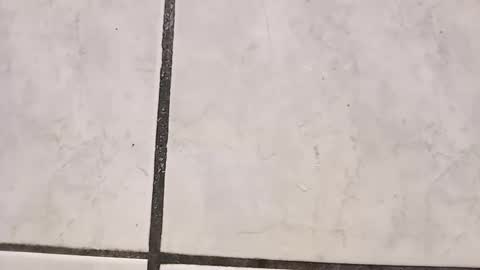 tall6feet7inch online show from 09.29.25