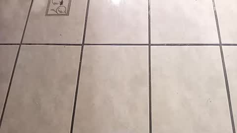 tall6feet7inch online show from 10.01.25