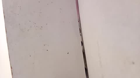 tall6feet7inch online show from 02.15.26