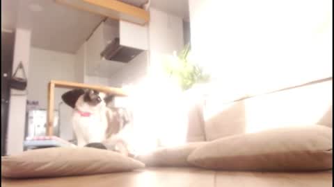 Snapshot of tamara_daniels chatting on 09.14.25 Tamara online show from 09.14.25