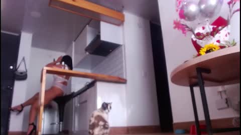 Snapshot of tamara_daniels chatting on 10.04.25 Tamara online show from 10.04.25