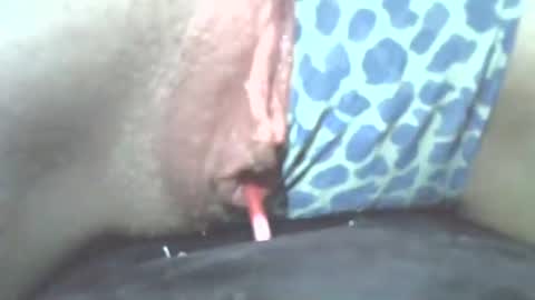 tamesbury online show from 11.02.25