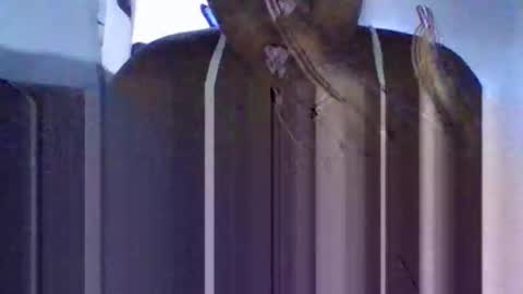 Tanaya1 online show from 10.10.25