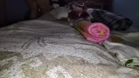 Snapshot of tangaxhentai3 chatting on 01.06.25 tangaxhentai3 online show from 01.06.25