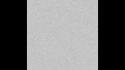 Snapshot of tasteflavored_femboy chatting on 02.24.25 Taste online show from 02.24.25