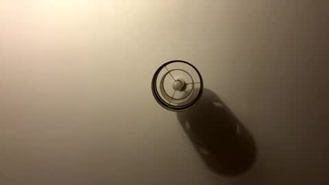 tastytexas24 online show from 04.04.26