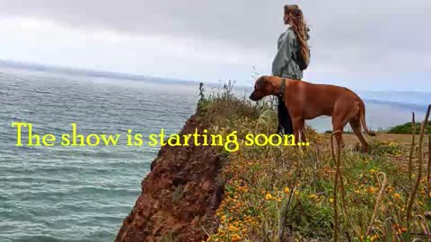 TATUM  ALL MY LINKS  online show from 02.12.26