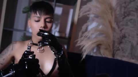 Taylor online show from 10.07.25