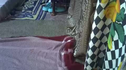 teabody1 online show from 03.08.26