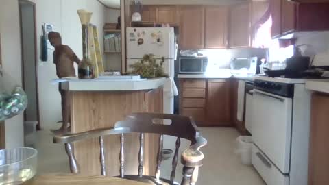 Snapshot of teak4u chatting on 10.01.25 Teak online show from 10.01.25