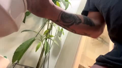 teet69 online show from 03.10.26