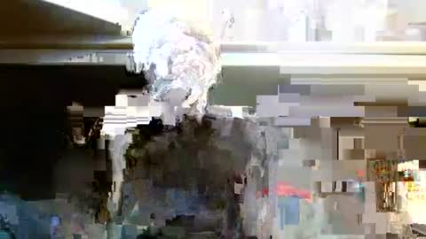 terdy2366 online show from 10.07.25