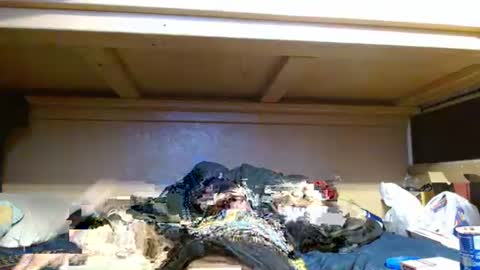 terdy2366 online show from 10.23.25