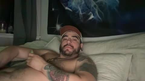 terppapi online show from 02.20.26