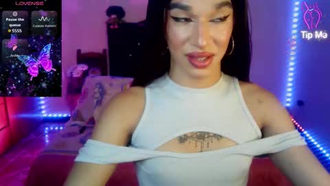 Terra obsession online show from 03.23.26