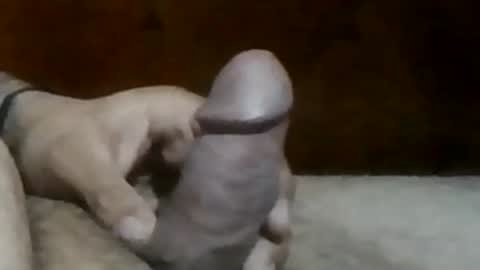 texasbigdaddy63 online show from 09.19.25