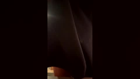 Wildeman online show from 02.17.26