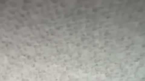 thankyoudaddy1 online show from 10.28.25