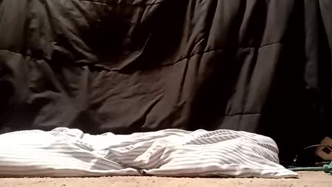 thatb1 online show from 09.28.25