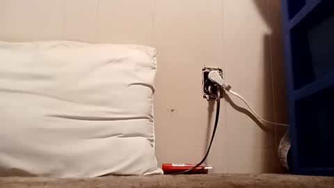 thatb1 online show from 12.16.25