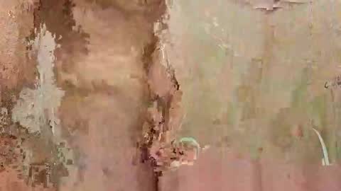 the1st_play_girl online show from 12.30.24