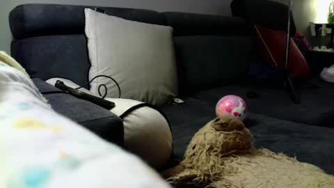 Stephan 34  Cassandra 25 online show from 04.08.26