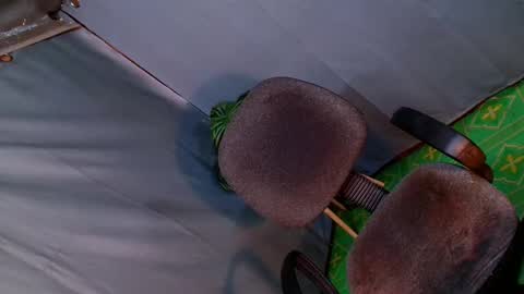 Lana But you can spell it backwards online show from 02.20.25