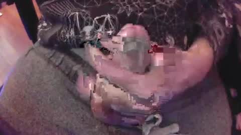 The Fox  The Cat online show from 01.08.25