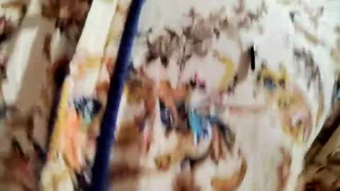 thehousedog online show from 12.25.24