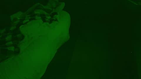 Snapshot of thehungmantis chatting on 12.26.24 thehungmantis online show from 12.26.24