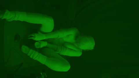 Snapshot of thehungmantis chatting on 02.06.25 thehungmantis online show from 02.06.25