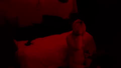 Snapshot of thehungmantis chatting on 10.15.25 thehungmantis online show from 10.15.25