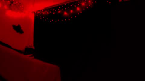 Snapshot of thehungmantis chatting on 10.18.25 thehungmantis online show from 10.18.25