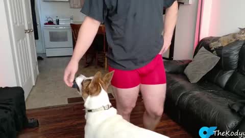 thekodyy online show from 11.04.25