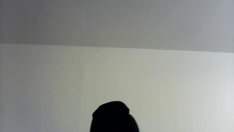 Snapshot of theman18951pa chatting on 11.01.25 theman18951pa online show from 11.01.25