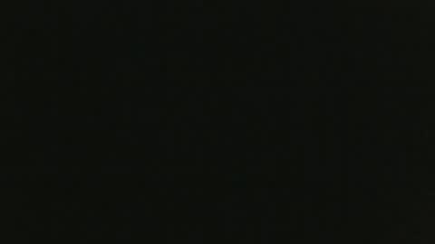 JohnSilver online show from 12.08.24