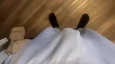 Snapshot of theplummer99 chatting on 10.11.25 theplummer99 online show from 10.11.25