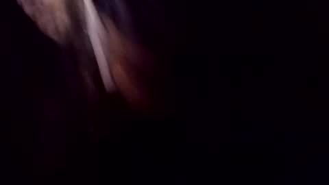 theprofessorxo online show from 09.29.25